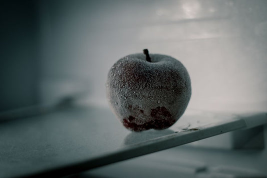 The Science of Food Storage: Why Temperature, Humidity, and Air Control Keep Produce Fresh Longer