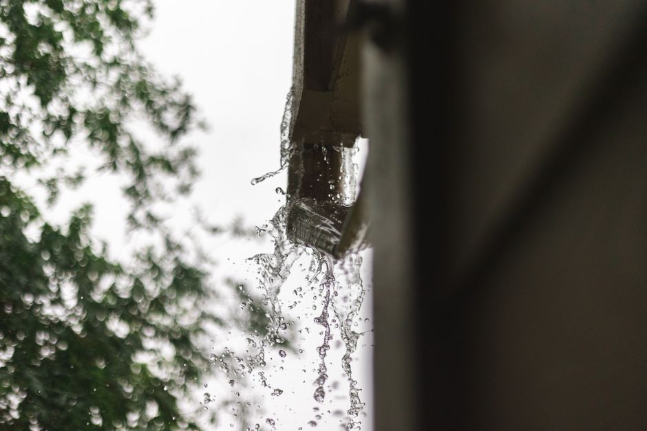 Budget-Friendly Gutter Guard Solutions That Actually Work