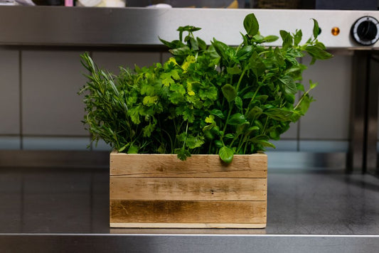 How to Store Fresh Herbs Like Basil, Cilantro, and Parsley So They Stay Crisp for Weeks