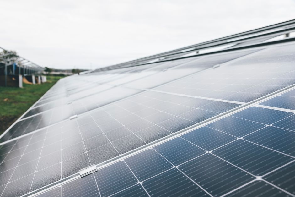 The Long Game: How Small Sustainable Swaps Compound Into Major Carbon Savings