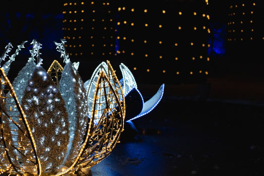 Outdoor Lighting Installation: A Step-by-Step Guide for Beginners
