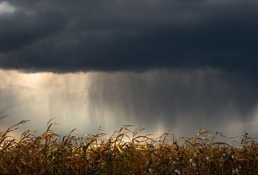 The Physics of Rainfall: How Surface Area and Slope Determine Harvest Efficiency