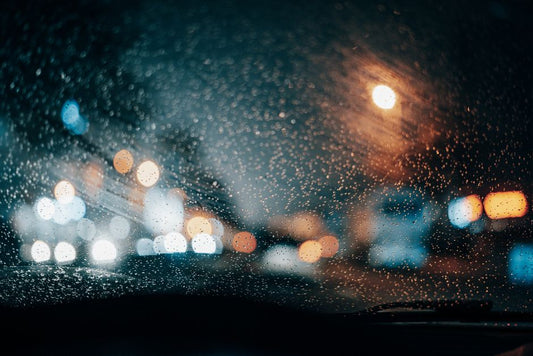 How to Prevent Mold in Your Car After a Rainstorm