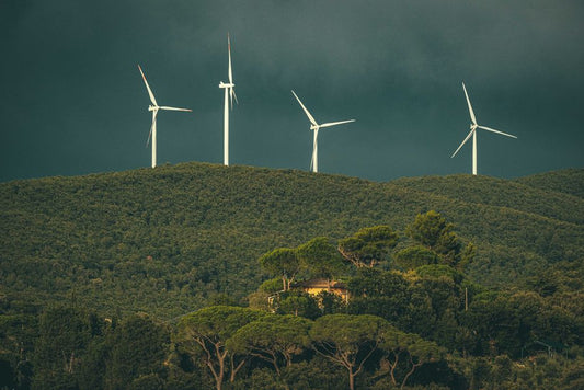 7 Common Mistakes in Carbon Footprint Reduction That Actually Undermine Your Efforts