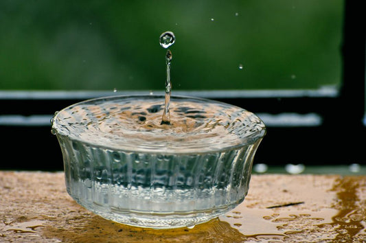 The Science of Hydration: How Optimal Water Intake Enhances Every Bodily System