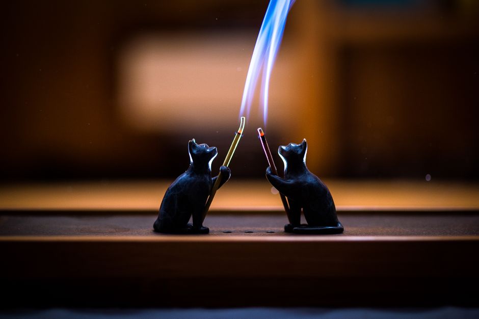 The Hidden Mechanics of Cat Litter Hygiene: Preventive Tips for a Fresher Home