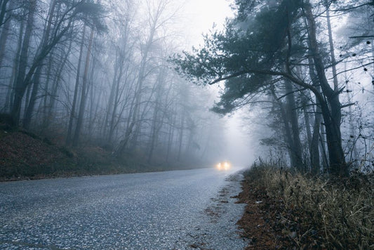 The 7 Most Overlooked Mistakes That Derail a Family Road Trip