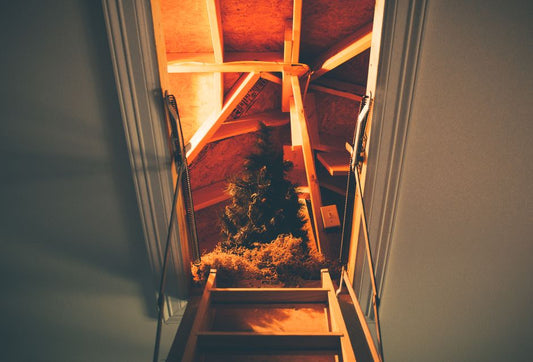 Beginner's Guide to Sealing and Insulating Attic Hatchways for Energy Savings