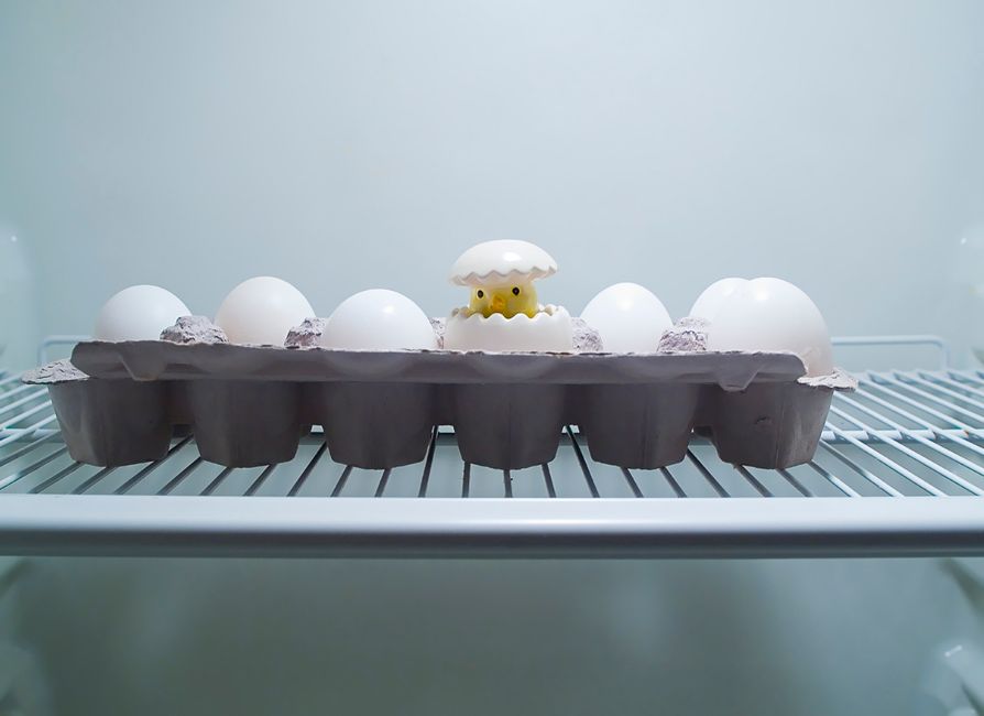 The Complete Guide to Egg Storage and Shelf Life: How to Keep Eggs Fresher Longer