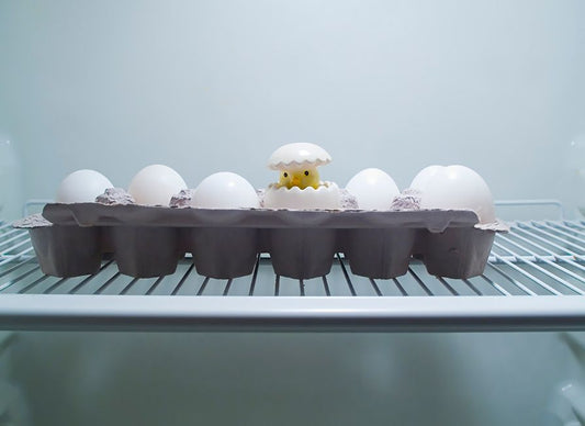 The Complete Guide to Egg Storage and Shelf Life: How to Keep Eggs Fresher Longer