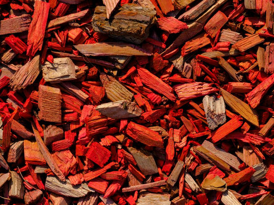 The Complete Care Guide to Living Mulch: Transforming Garden Beds into Self-Sustaining Ecosystems