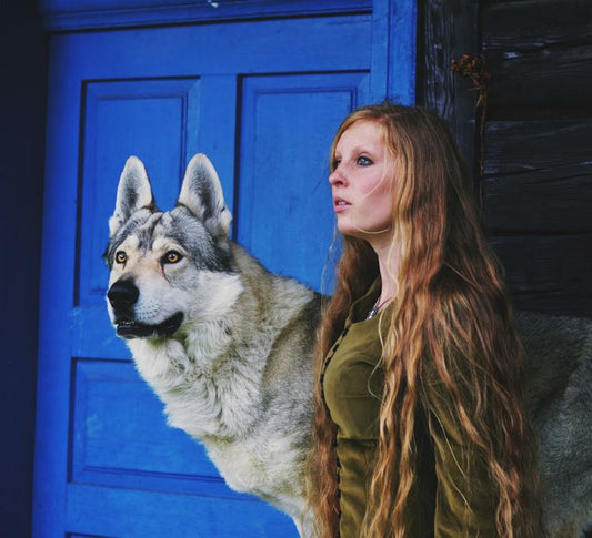The First-Timer's Guide to a Raw and Natural Pet Diet Without the Fear