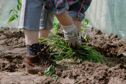 Step-by-Step Guide to Natural Weed Control: Replace Herbicides with a Sustainable Garden System