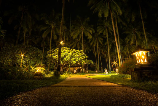 Driveway and Pathway Repairs That Actually Last: The Complete Guide to Permanent Fixes