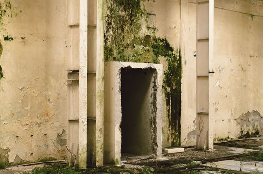 How to Prevent Attic and Crawl Space Moisture Damage: A Complete Guide to Stopping Mold, Rot, and Structural Decay