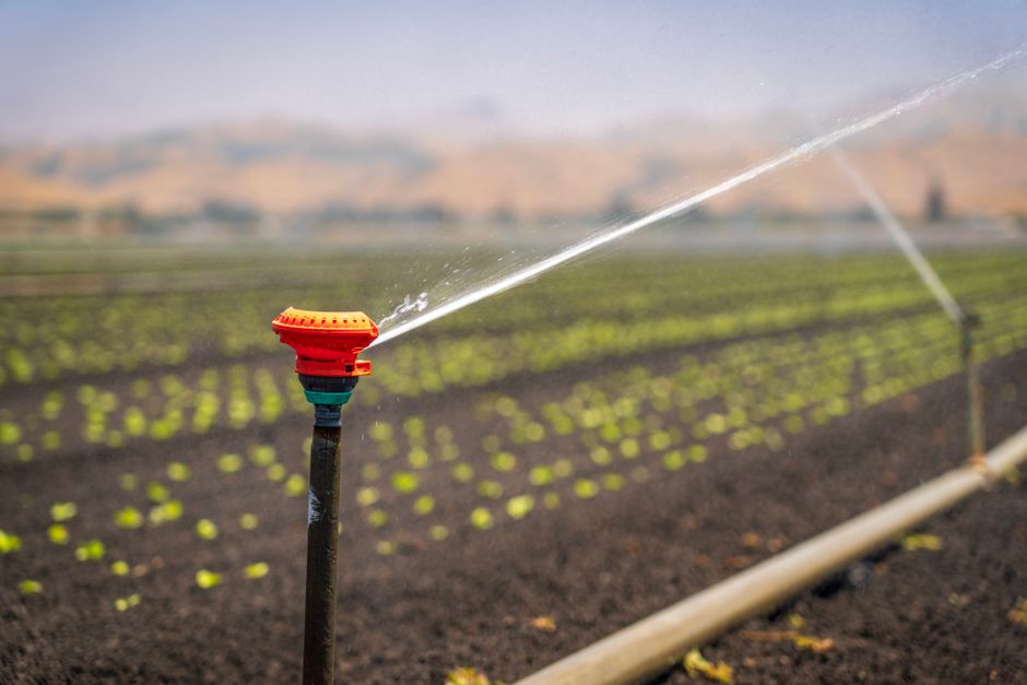 Drip Irrigation Setup for Beginners: A Complete Guide to Efficient Watering
