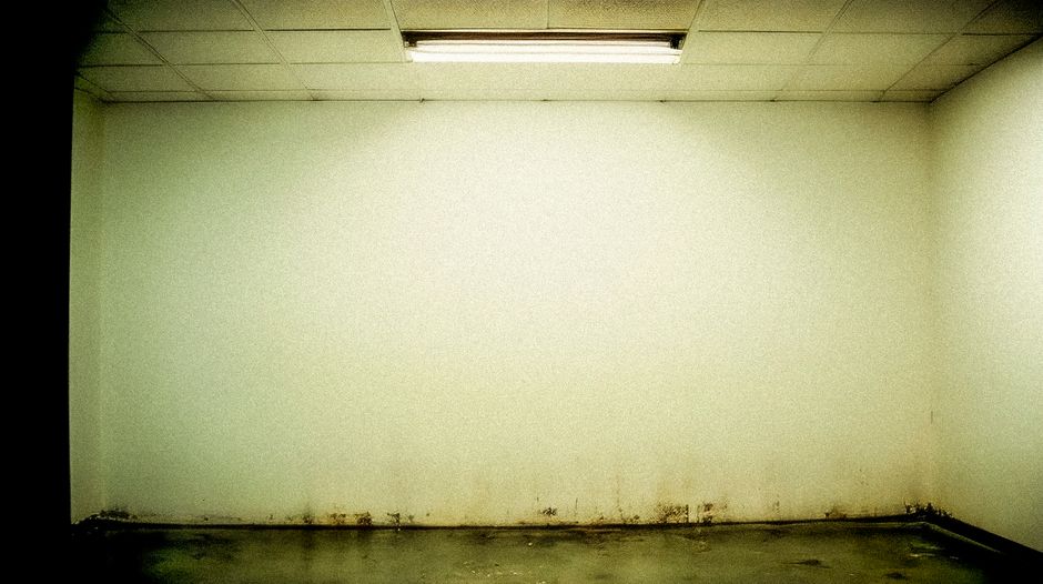 DIY Basement Waterproofing Without Professional Help: A Complete Practical Guide