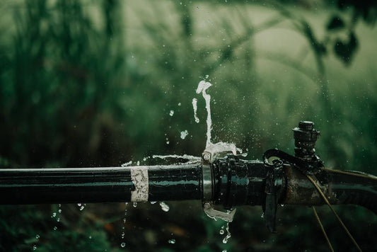 The Beginners Guide to Building a Smart Watering System That Actually Works
