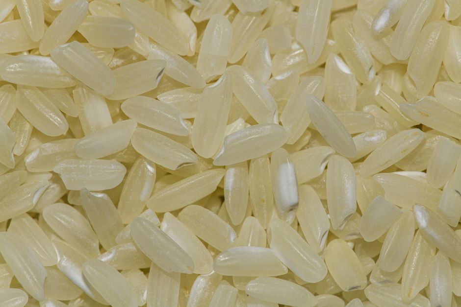 The Science of Perfect Rice: Unlocking Starch Gelatinization and Absorption Cooking