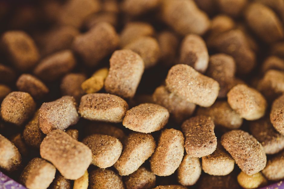 Sustainable Pet Food Storage and Feeding in a Small Apartment: A Complete Guide