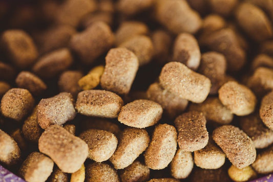 Sustainable Pet Food Storage and Feeding in a Small Apartment: A Complete Guide