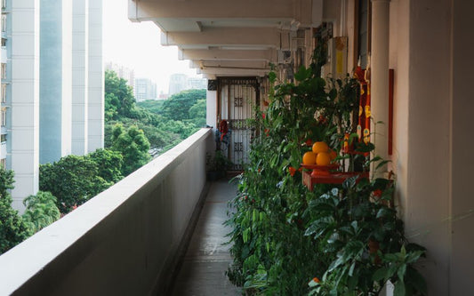 The Complete Herb Garden for Apartments: No Balcony, No Problem