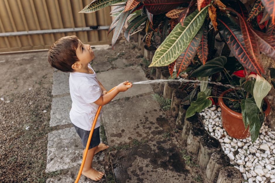 The Complete Guide to Watering Indoor Plants Correctly Without a Yard