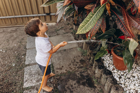 The Complete Guide to Watering Indoor Plants Correctly Without a Yard