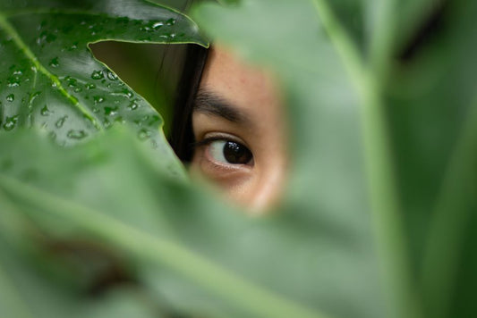 Overwatered or Underwatered? How to Read Your Plants' Hidden Signs