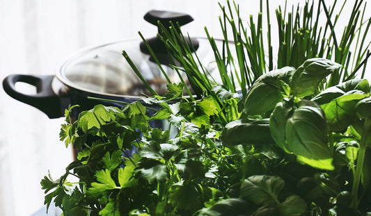 How to Keep Fresh Herbs Alive for Weeks Without a Garden