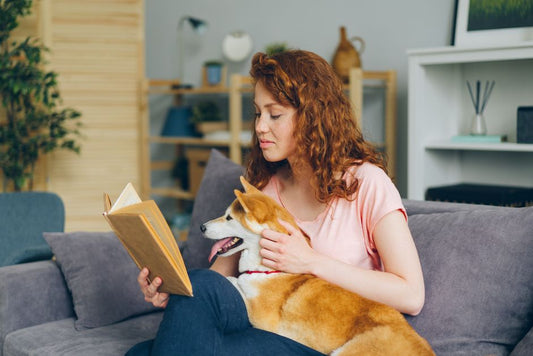 Puppy Proofing Your Home: The Essential Guide for First-Time Owners