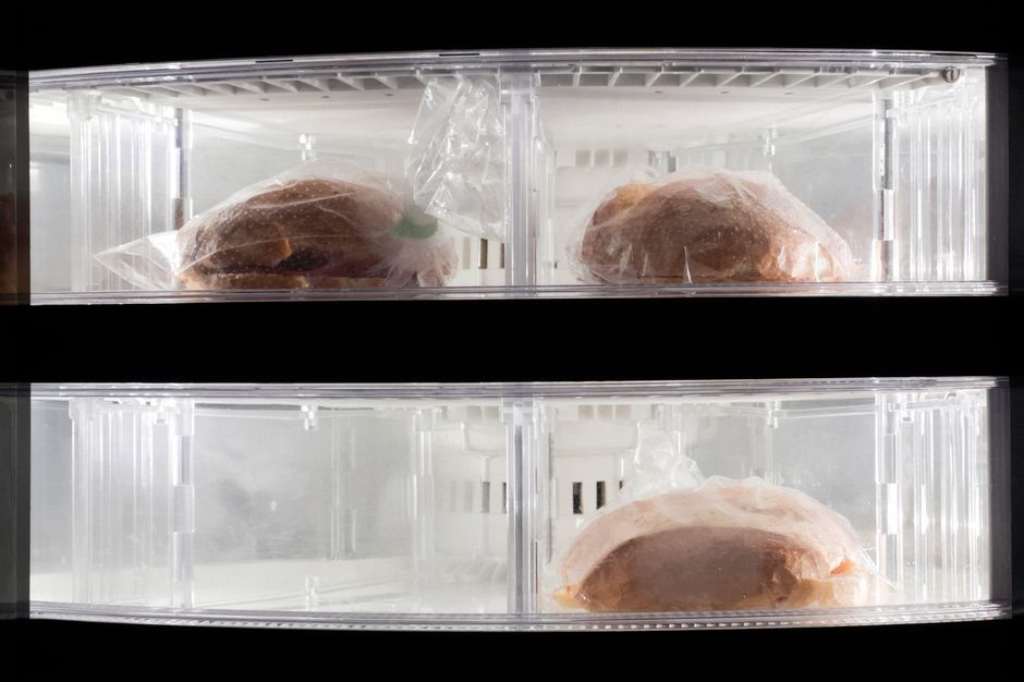 The Essential Monthly Chest Freezer Maintenance Routine