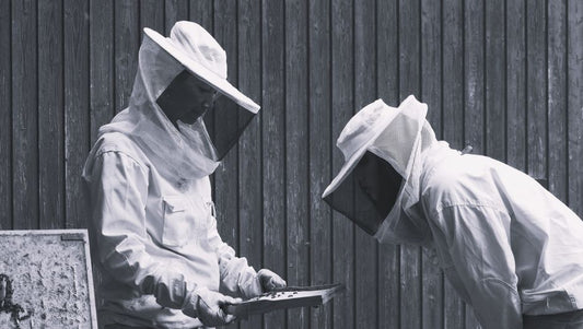 The Science of Beeswax Wraps: How They Work and Why They Outlast Plastic