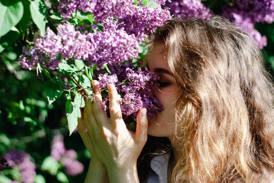Summer Allergies in Pets: A Complete Guide to Managing Pollen, Dust, and Seasonal Triggers