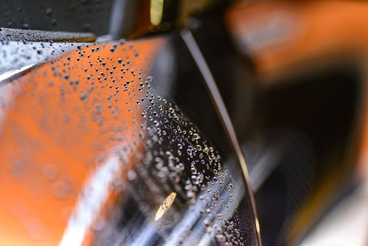 How to Prevent and Clean Bird Droppings from Car Paint Without Causing Damage