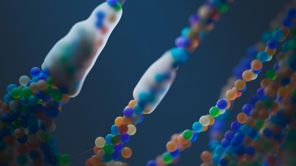 The Science-Backed Guide to Gut Bacteria Diversity
