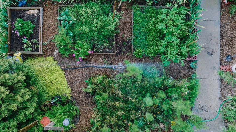 The Low-Effort Raised Bed Garden: A System for Sustainable Growth