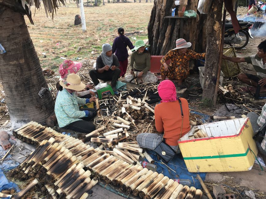 Bamboo Products Myths Debunked: What Actually Works for Sustainable Living