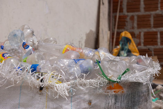 Why Your Plastic Reduction Efforts Are Failing (And How to Fix Them Without the Guilt)