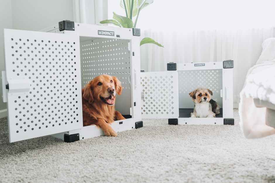 Emergency Guide to Pet Crate and Space Training: What to Do When Your Pet Panics in Their Den