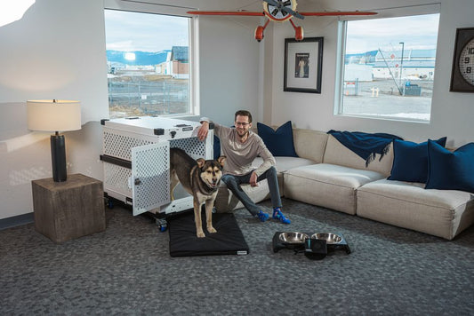 First-Time Owners Complete Guide to Crating and Space Training Without Stress