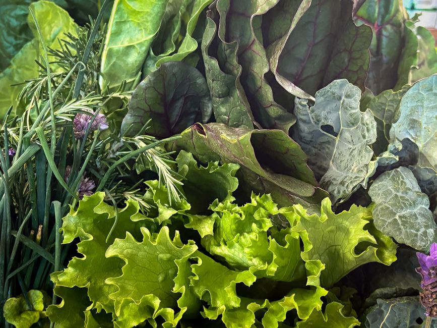 How to Extend the Shelf Life of Fresh Herbs and Leafy Greens: Expert Storage Tips for Crisp, Flavorful Produce