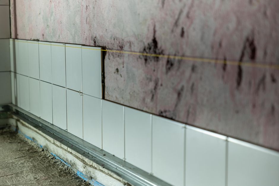 Bathroom Silent Failures: A Troubleshooting Guide for Hidden Water Damage and Mold