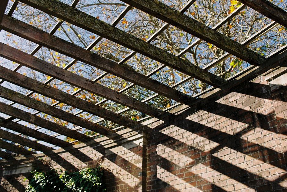 7 Signs Your Pergola Needs Immediate Repair (Before It's Too Late)