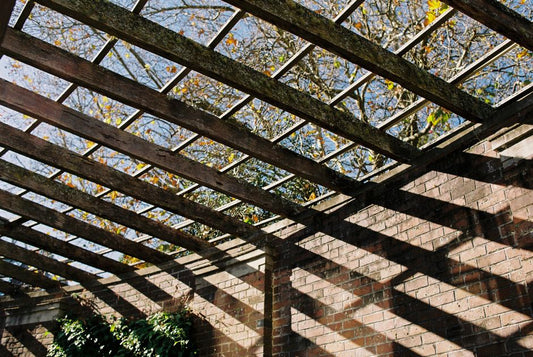 7 Signs Your Pergola Needs Immediate Repair (Before It's Too Late)
