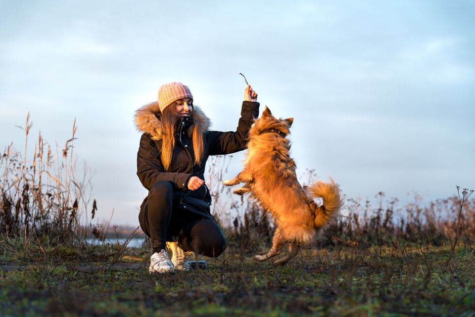 5 Skin and Coat Care Mistakes Even Devoted Pet Owners Make