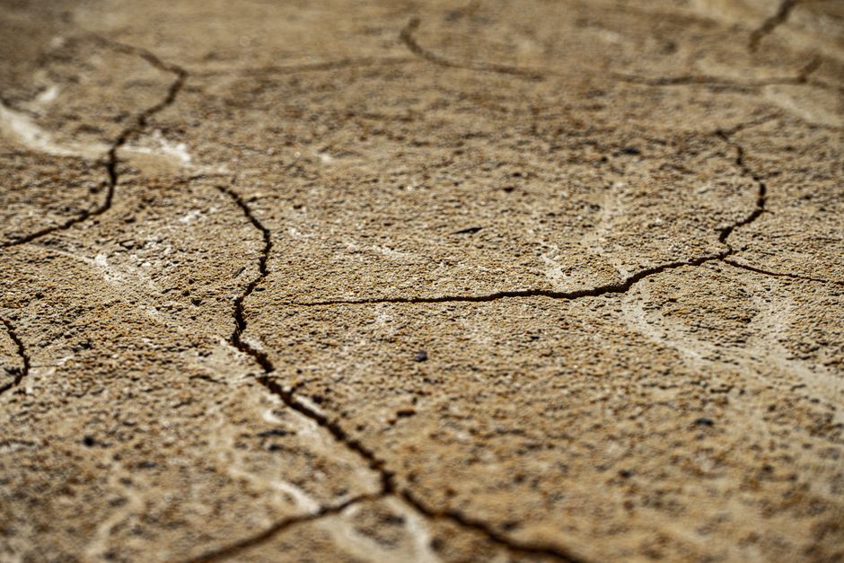Basement Waterproofing That Actually Lasts: The Complete Guide to Permanent Dryness
