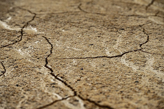 Basement Waterproofing That Actually Lasts: The Complete Guide to Permanent Dryness