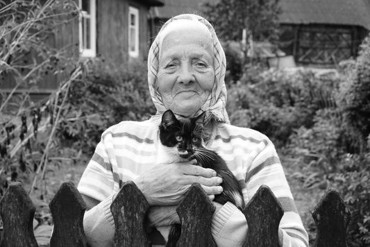 Managing Pet Allergies in Senior Pets: A Practical Guide for Aging Companions