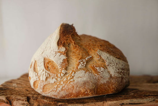 7 Sourdough Starter Mistakes That Sabotage Your Loaf (And How to Fix Them)